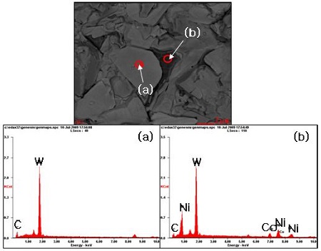 Fig. 10