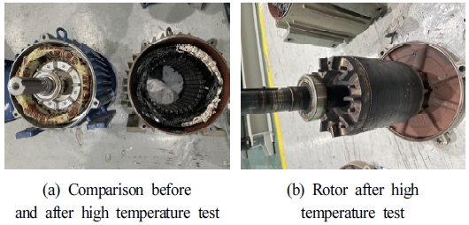 Fig. 19