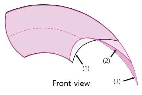 Fig. 12