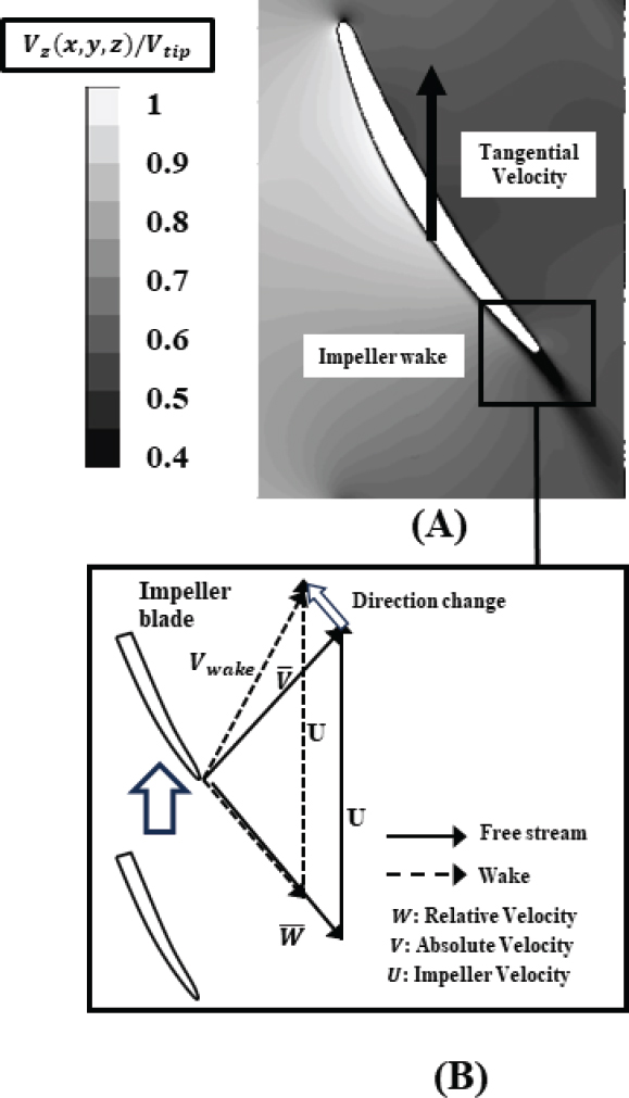 Fig. 8